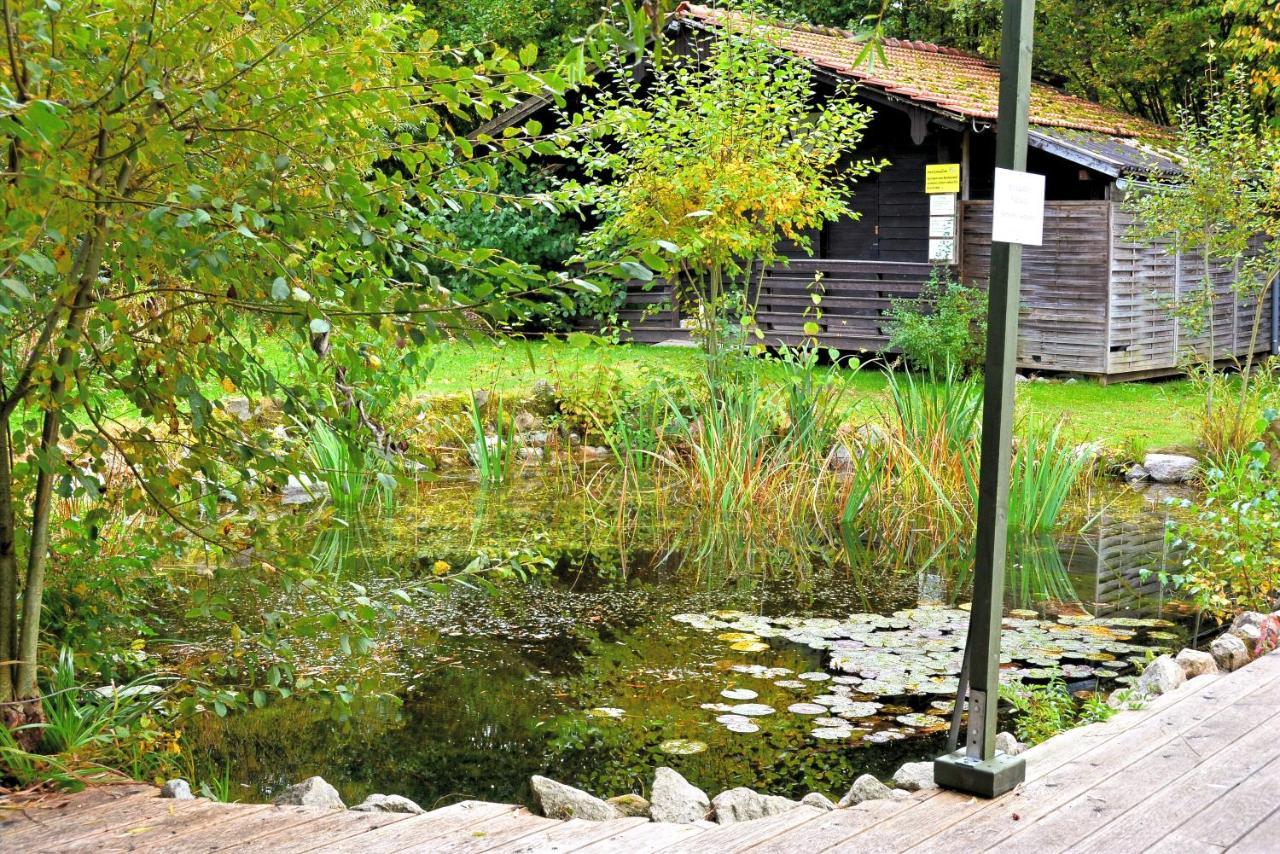 Wildgatter Ferienappartements Grafenwiesen Esterno foto