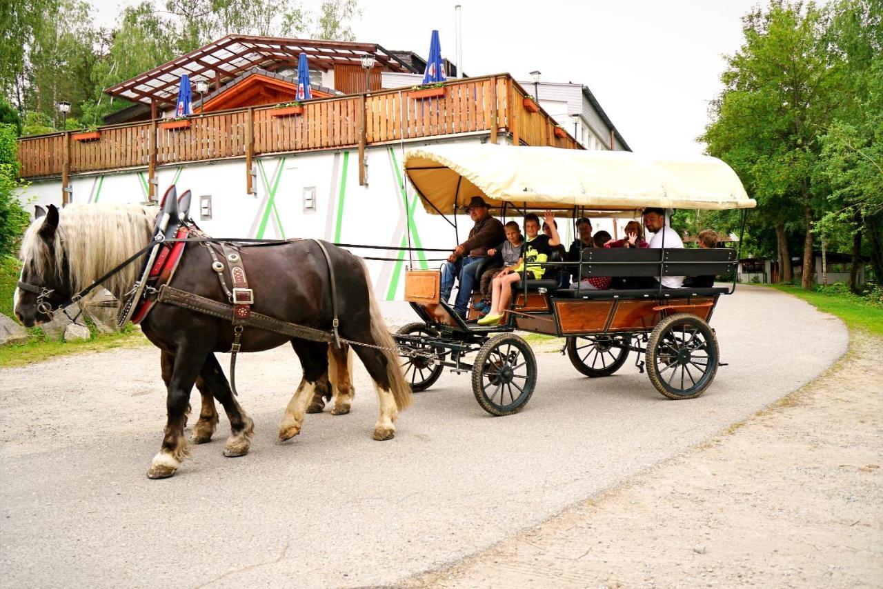 Wildgatter Ferienappartements Grafenwiesen Esterno foto